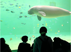 03_photo_02