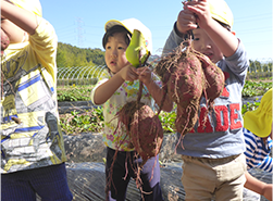 10_photo_02