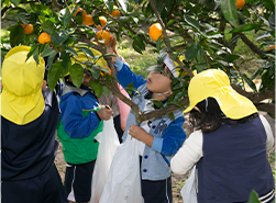 11_photo_01