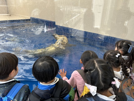 鳥羽水族館
