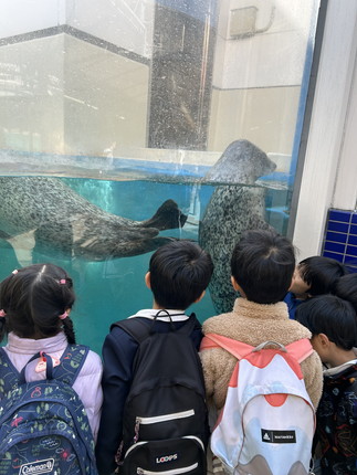 鳥羽水族館